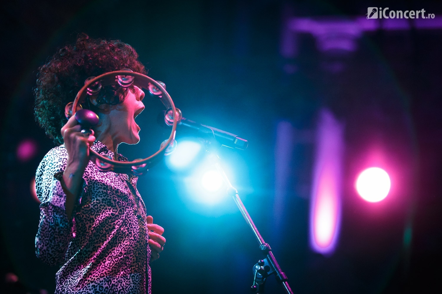 LP în concert la Arenele Romane din Bucureşti - Foto: Daniel Robert Dinu / iConcert.ro